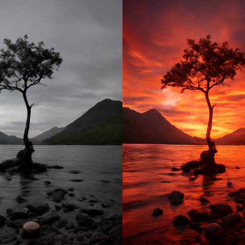 Como Usar o Lightroom para Melhorar Suas Fotos: Dicas Essenciais para Iniciantes